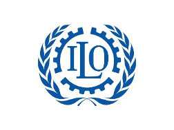 undp